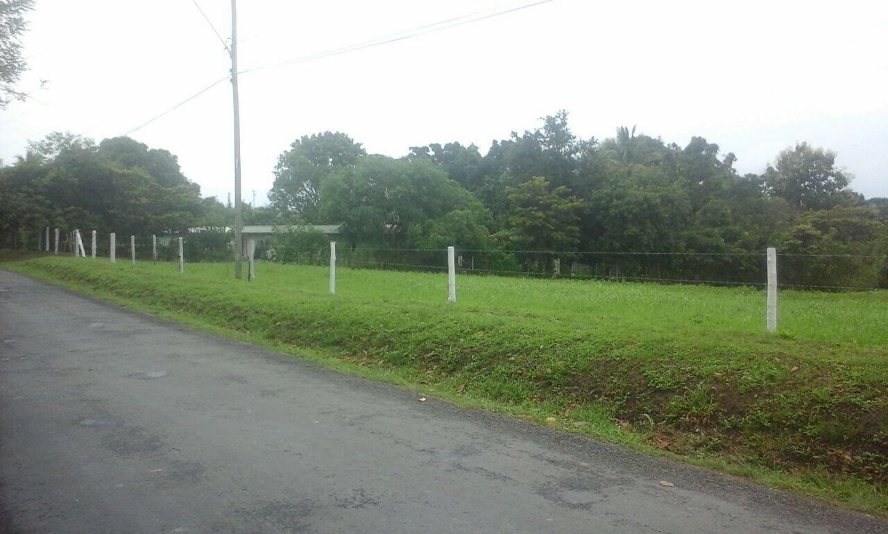 Commercial Property for Sale in SanCarlos Panamá Province 07033